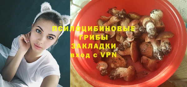 амф Беломорск
