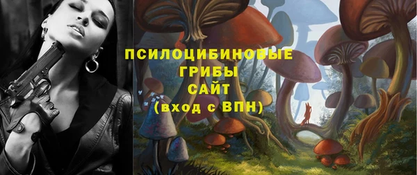 амф Беломорск