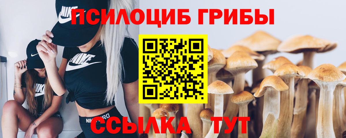 Псилоцибиновые грибы Magic Shrooms  Вход с VPN  Бузулук  Галлюциногенные грибы GOLDEN TEACHER 