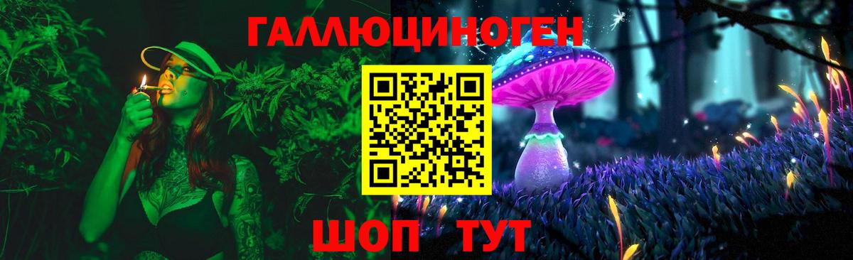 Галлюциногенные грибы Psilocybe Бузулук